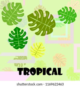 tropical summer tropical plant vector background