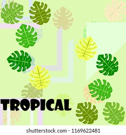 tropical summer tropical plant vector background