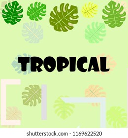 tropical summer tropical plant vector background