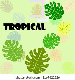tropical summer tropical plant vector background