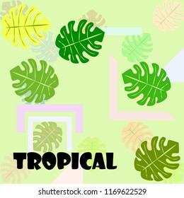 tropical summer tropical plant vector background
