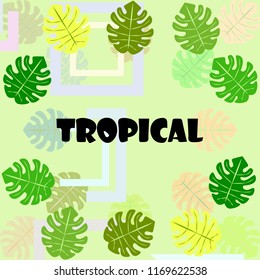 tropical summer tropical plant vector background