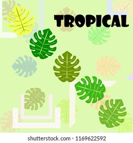tropical summer tropical plant vector background