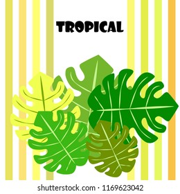 tropical summer tropical plant vector background