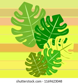 tropical summer tropical plant vector background