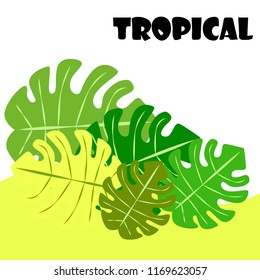 tropical summer tropical plant vector background