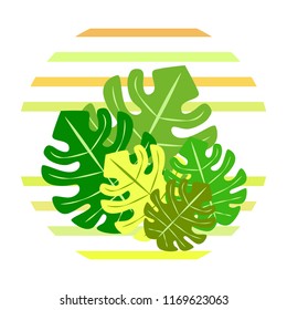 tropical summer tropical plant vector background