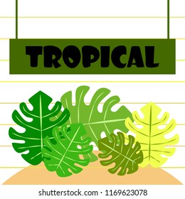tropical summer tropical plant vector background