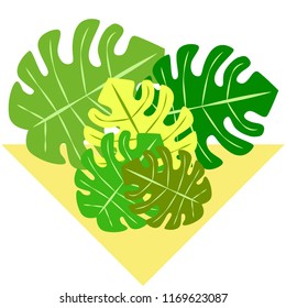 tropical summer tropical plant vector background