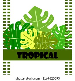 tropical summer tropical plant vector background