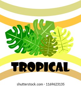 tropical summer tropical plant vector background