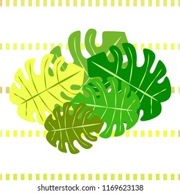 tropical summer tropical plant vector background