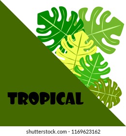 tropical summer tropical plant vector background
