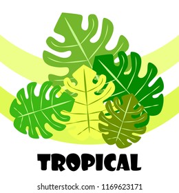 tropical summer tropical plant vector background