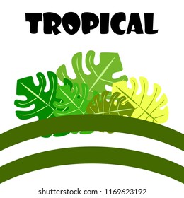 tropical summer tropical plant vector background