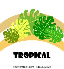 tropical summer tropical plant vector background