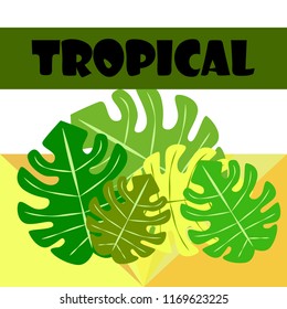 tropical summer tropical plant vector background