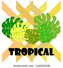 tropical summer tropical plant vector background
