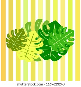 tropical summer tropical plant vector background