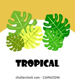 tropical summer tropical plant vector background