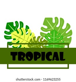 tropical summer tropical plant vector background