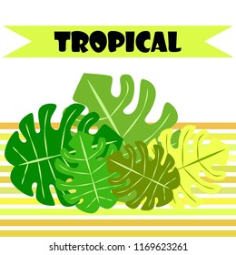 tropical summer tropical plant vector background
