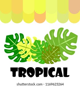tropical summer tropical plant vector background