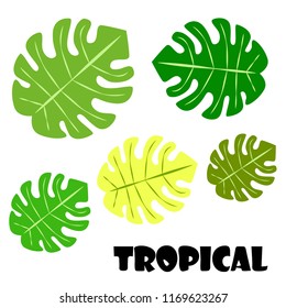 tropical summer tropical plant vector background