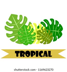 tropical summer tropical plant vector background