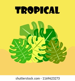 tropical summer tropical plant vector background