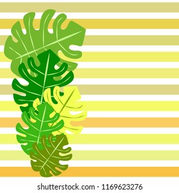 tropical summer tropical plant vector background