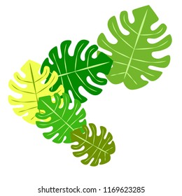 tropical summer tropical plant vector background