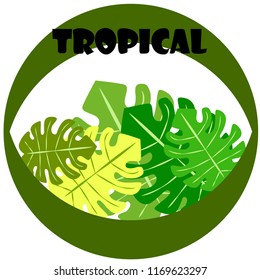tropical summer tropical plant vector background