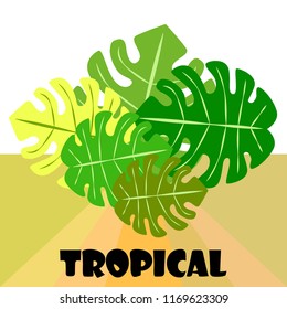 tropical summer tropical plant vector background