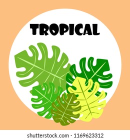 tropical summer tropical plant vector background