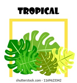 tropical summer tropical plant vector background