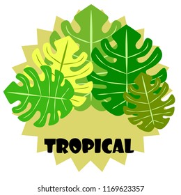 tropical summer tropical plant vector background