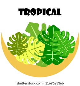 tropical summer tropical plant vector background