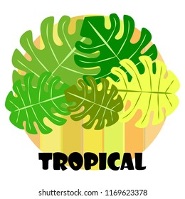 tropical summer tropical plant vector background