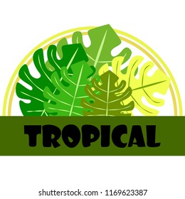 tropical summer tropical plant vector background
