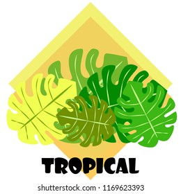 tropical summer tropical plant vector background