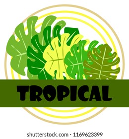 tropical summer tropical plant vector background