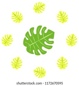 tropical summer tropical plant vector background