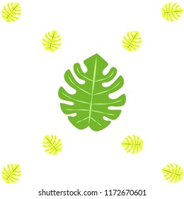 tropical summer tropical plant vector background