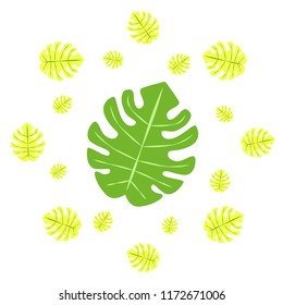 tropical summer tropical plant vector background
