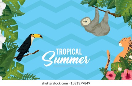 tropical summer poster with animals exotics and leafs vector illustration design