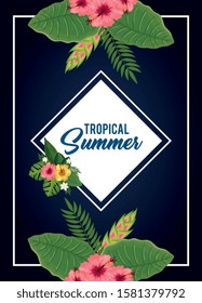 tropical summer poster with flowers and leafs vector illustration design