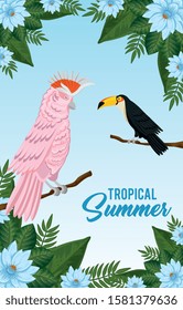 tropical summer poster with parrot and toucan vector illustration design