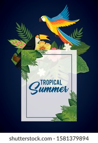 tropical summer poster with parrot and toucan vector illustration design