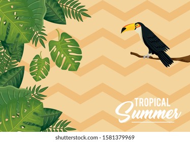tropical summer poster with toucan and leafs vector illustration design